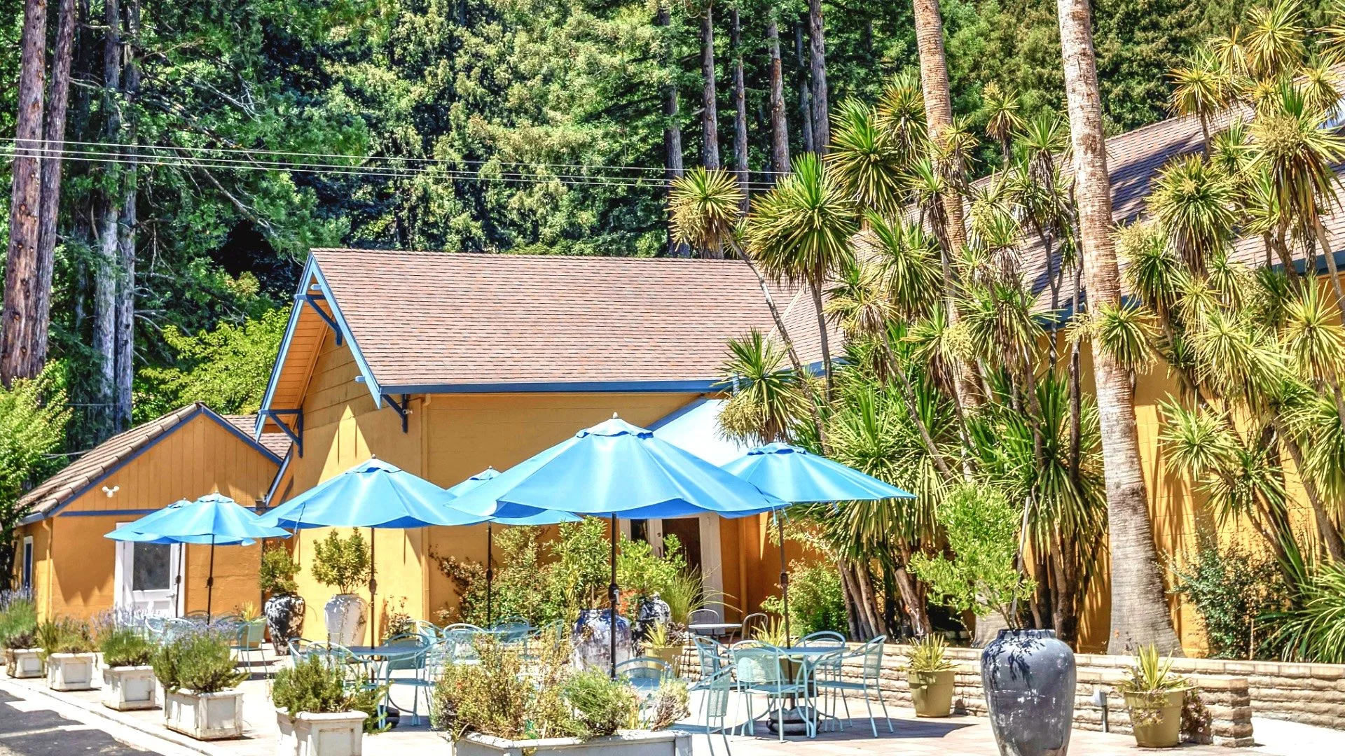 Surrey Entrance HORIZONTAL.jpeg