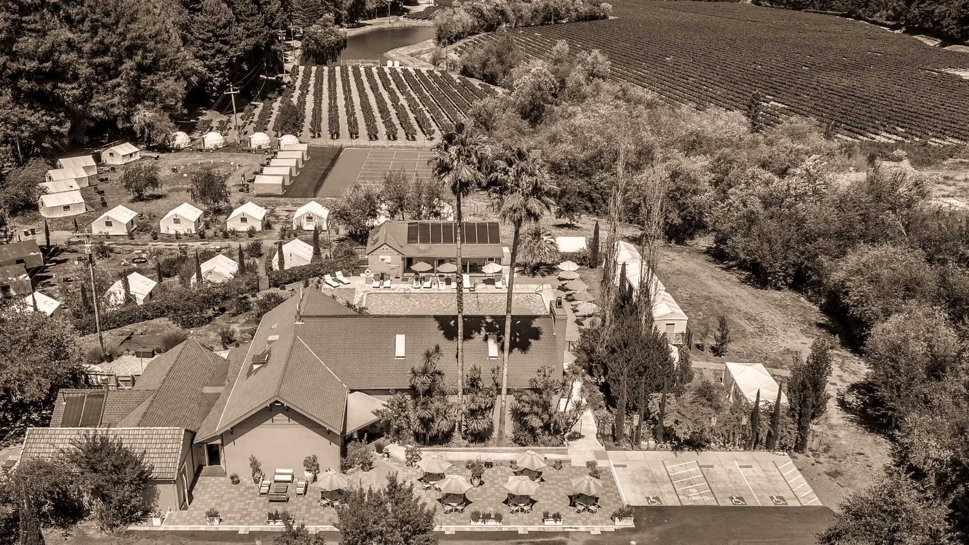 Aerial view of Surrey Resort in the redwoods