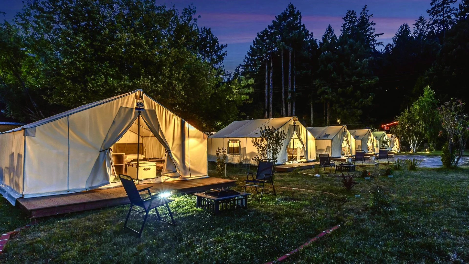 Tents illuminated at night beneath redwoods