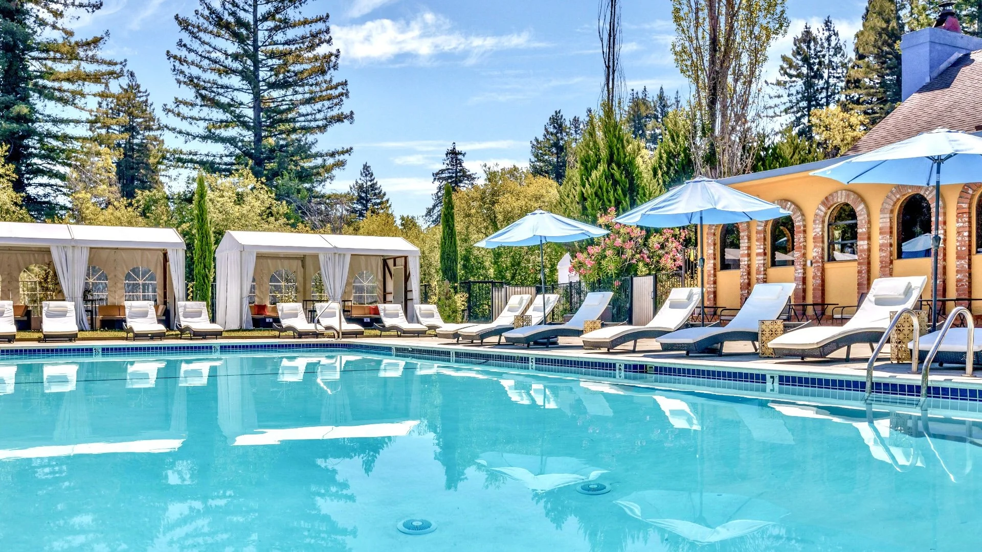 Resort-style pool surrounded by redwoods