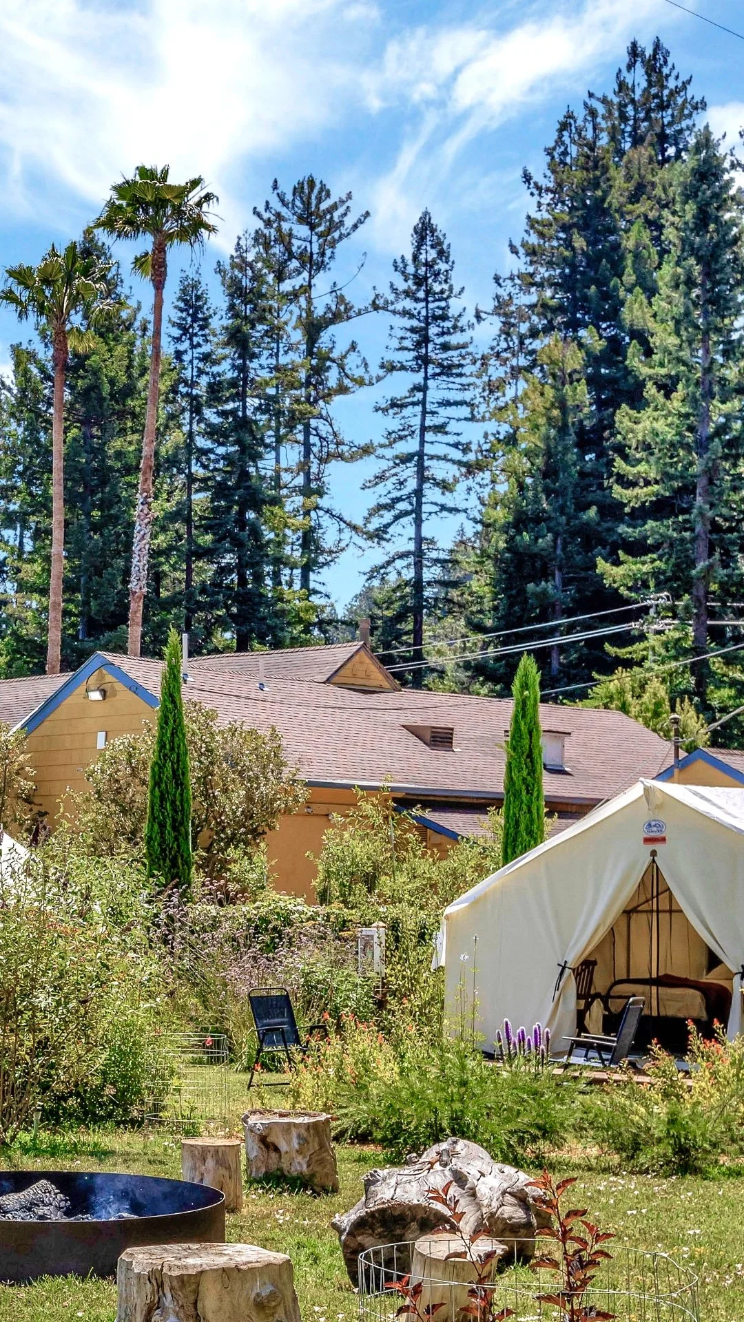 Tent 10 VERTICAL.jpeg