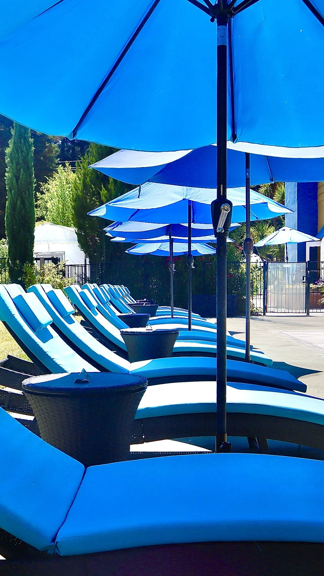 Pool 5 VERTICAL.jpeg