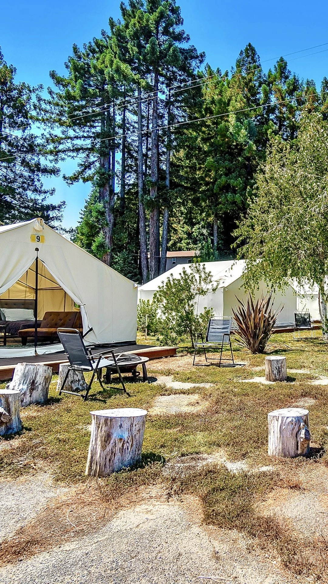 Tent 7 VERTICAL.jpeg