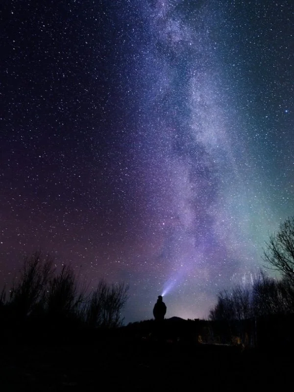 Stargazing under redwoods