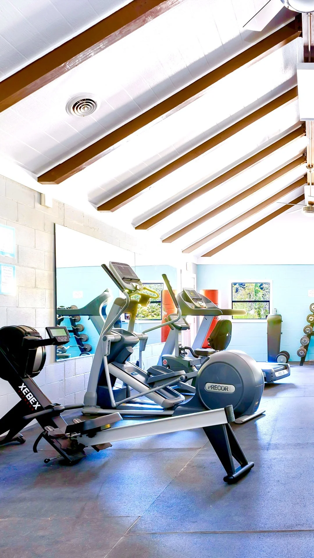 Gym1-1 VERTICAL.jpeg