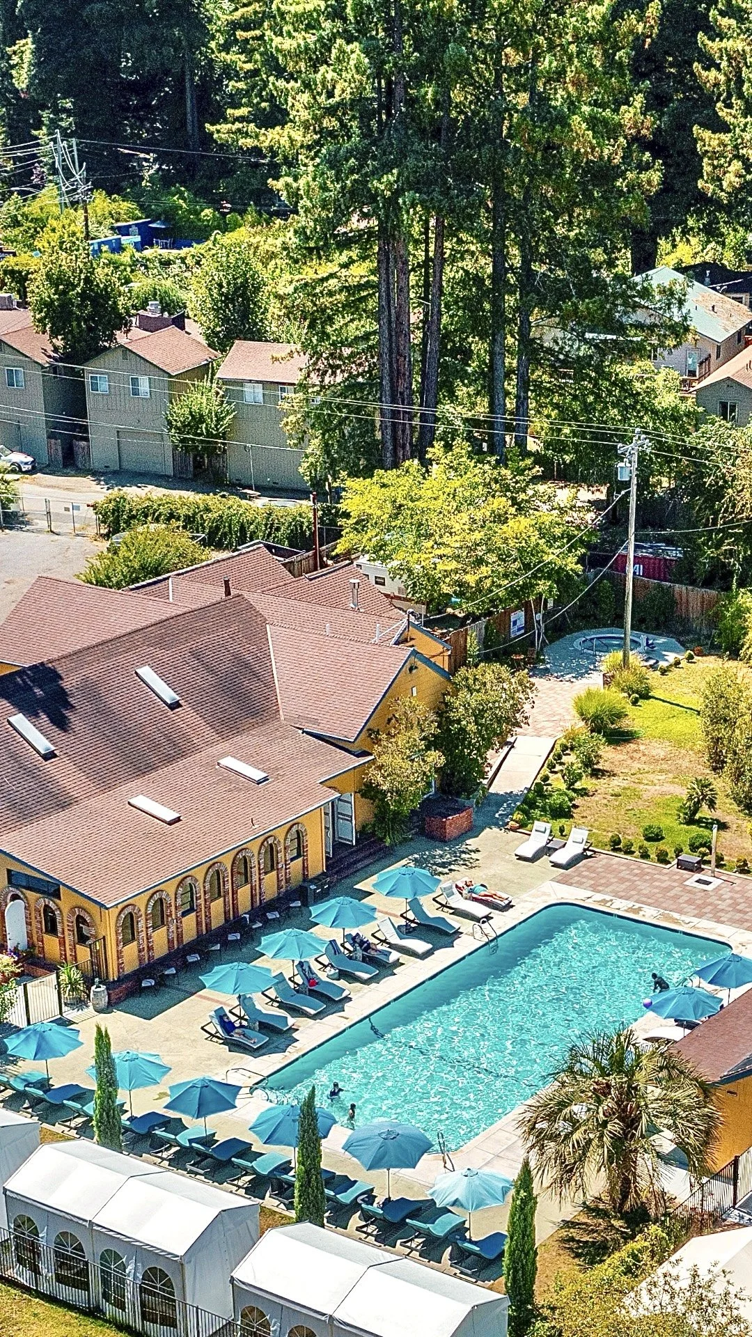 Surrey Drone 4 VERTICAL.jpeg