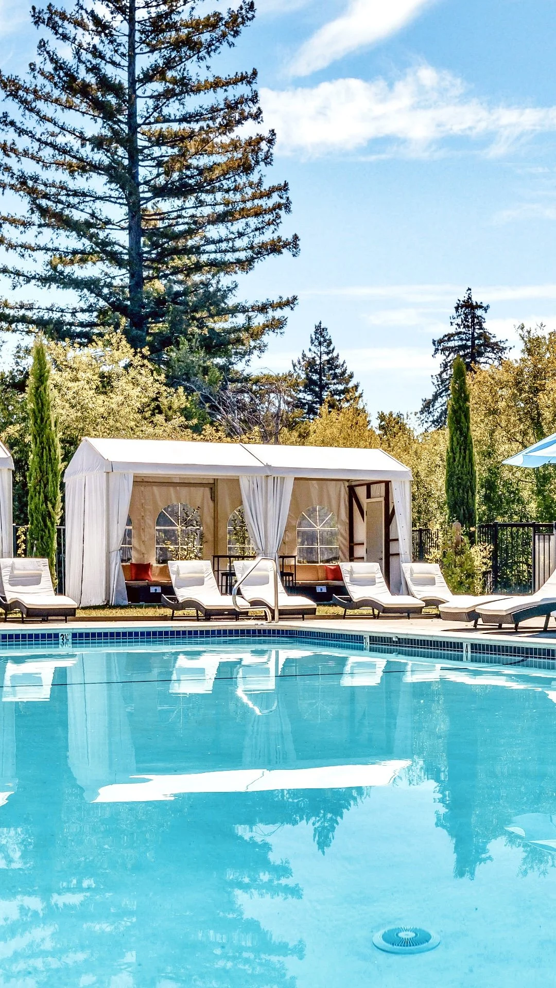 Pool 3 VERTICAL.jpeg