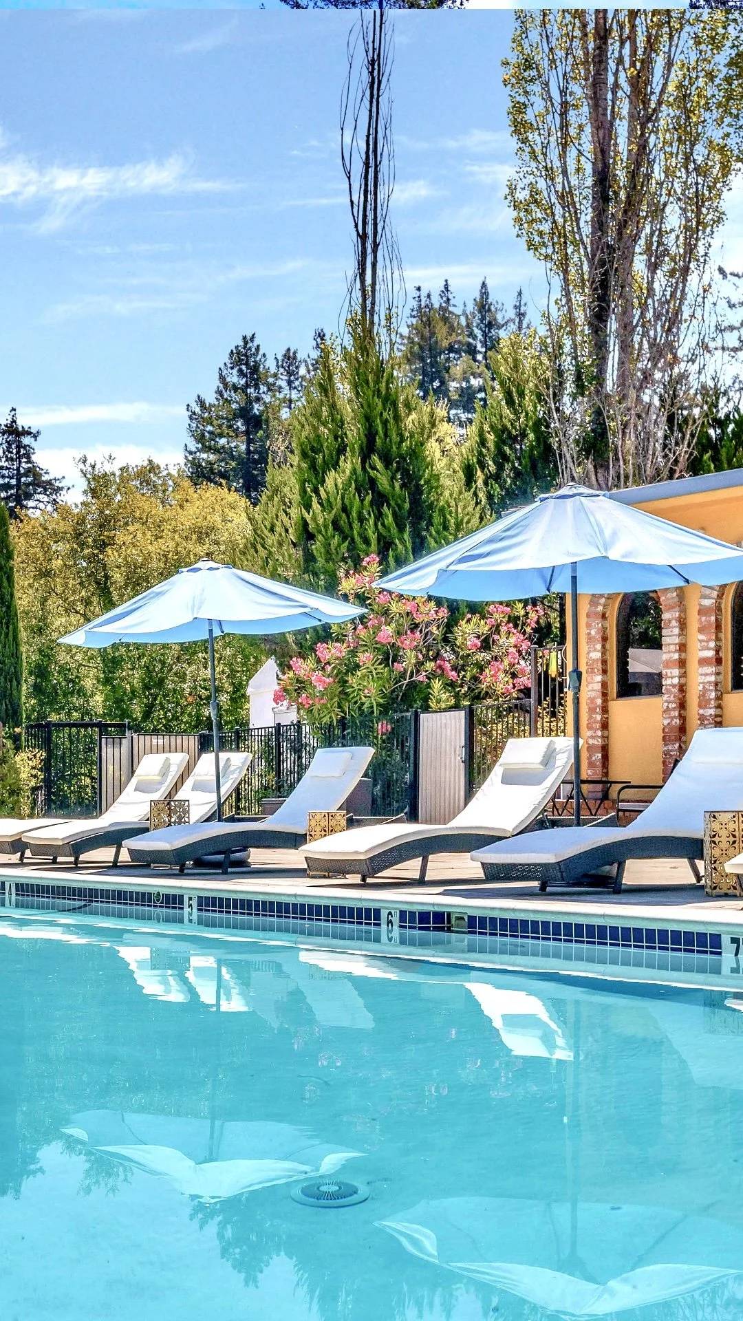 Pool 4 VERTICAL.jpeg