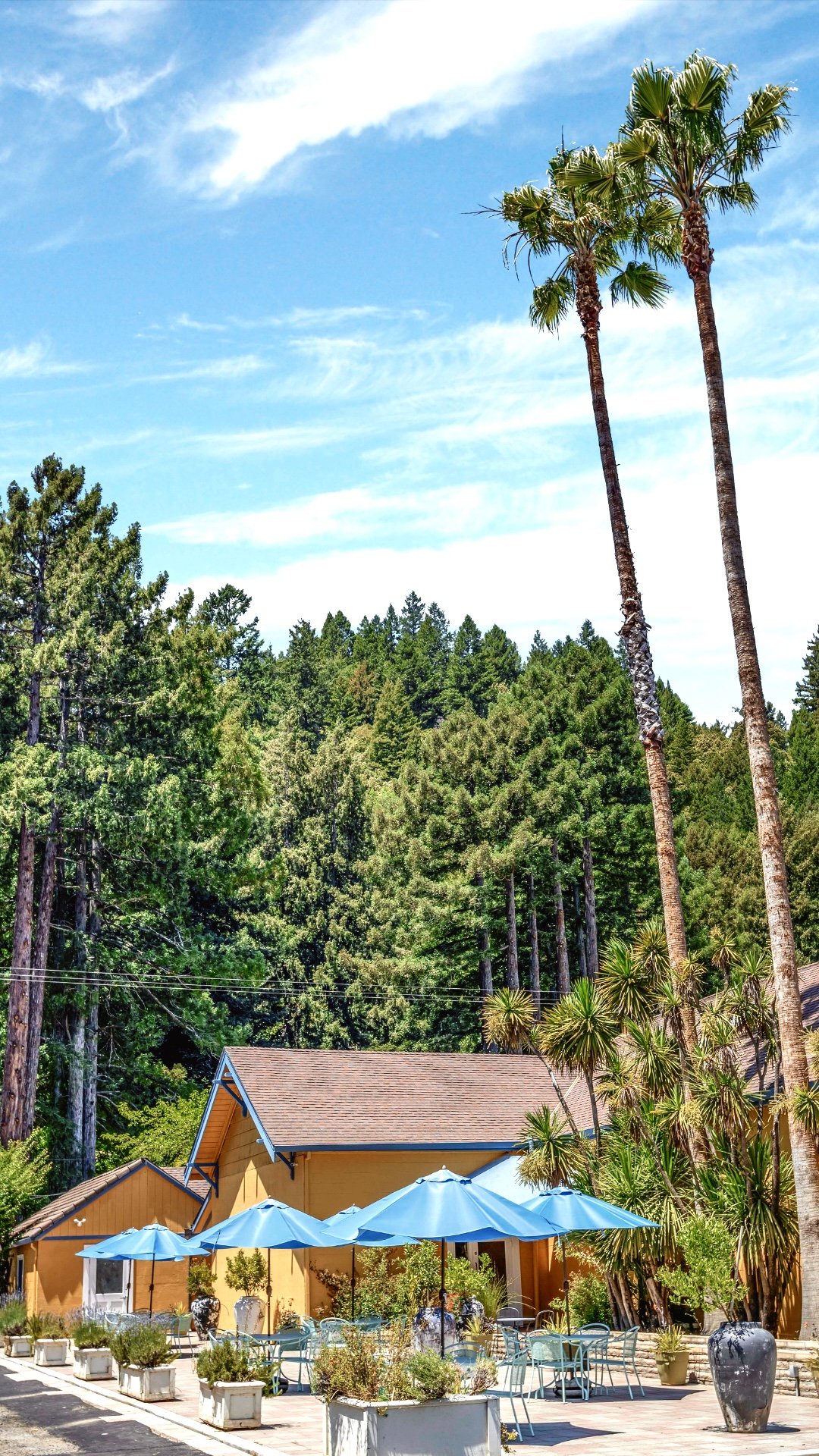 Surrey Entrance VERTICAL.jpeg