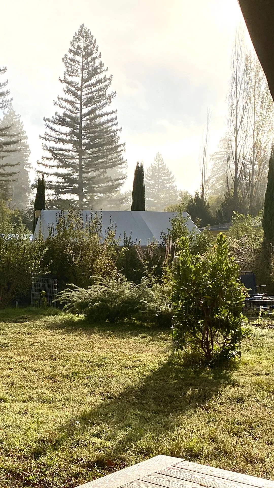 Tent 13 VERTICAL.jpeg