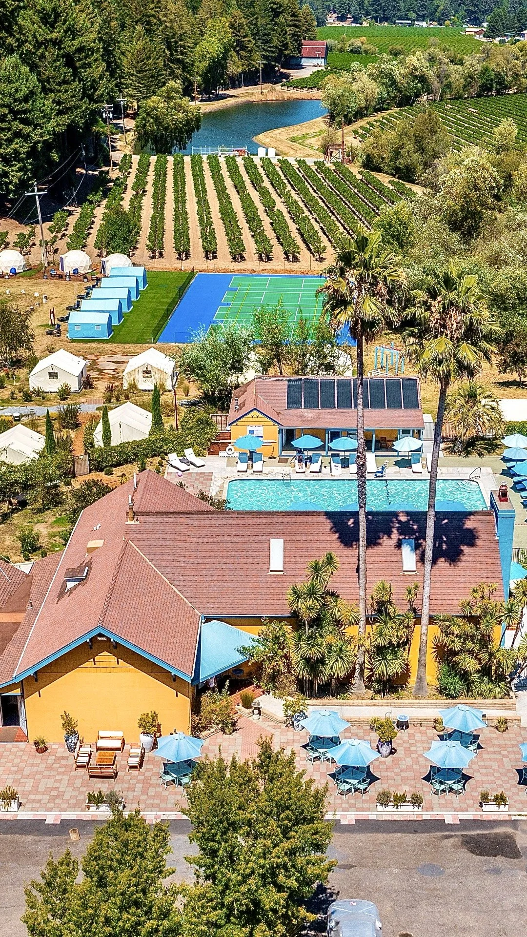 Surrey Drone VERTICAL.jpeg