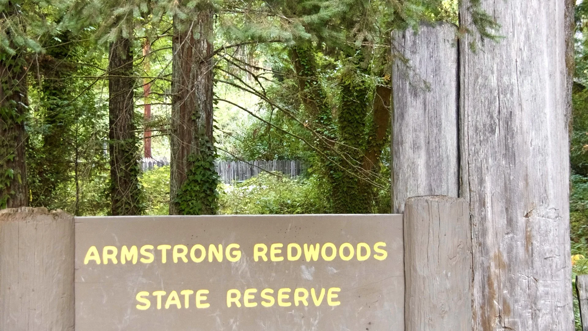Armstrong Redwoods State Reserve