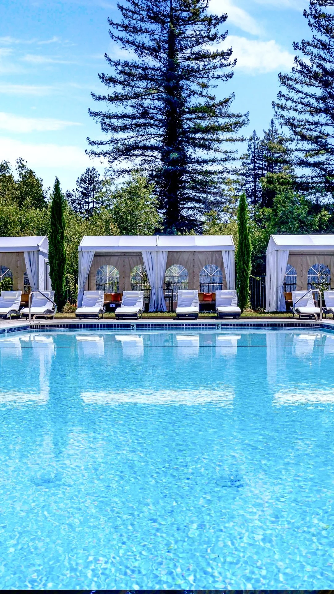 Pool 2 VERTICAL.jpeg