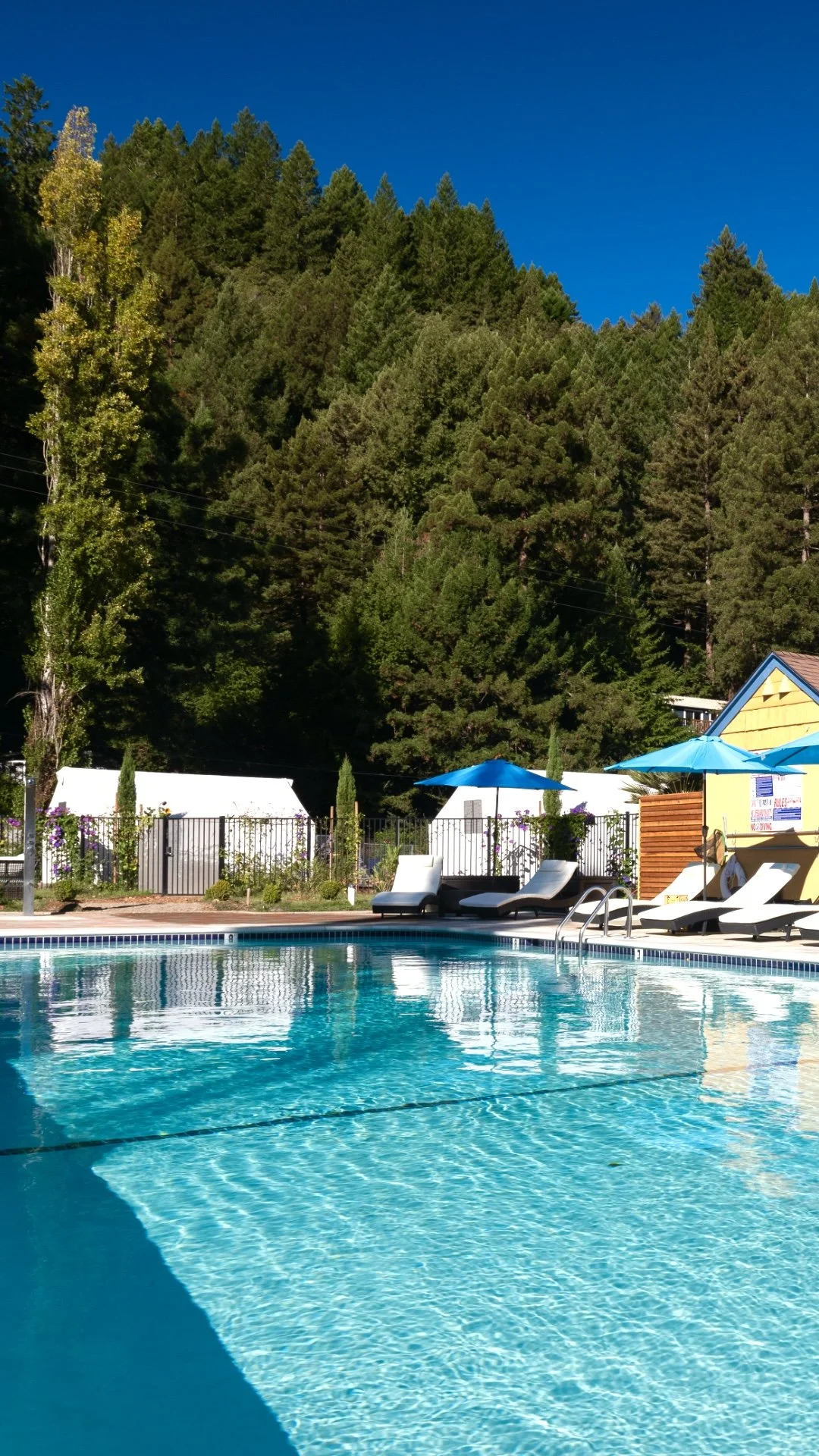 Pool 8 VERTICAL.jpeg