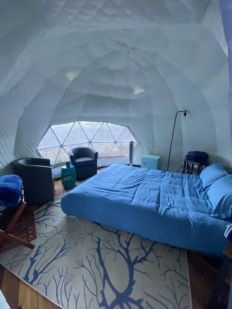 Geodesic dome interior