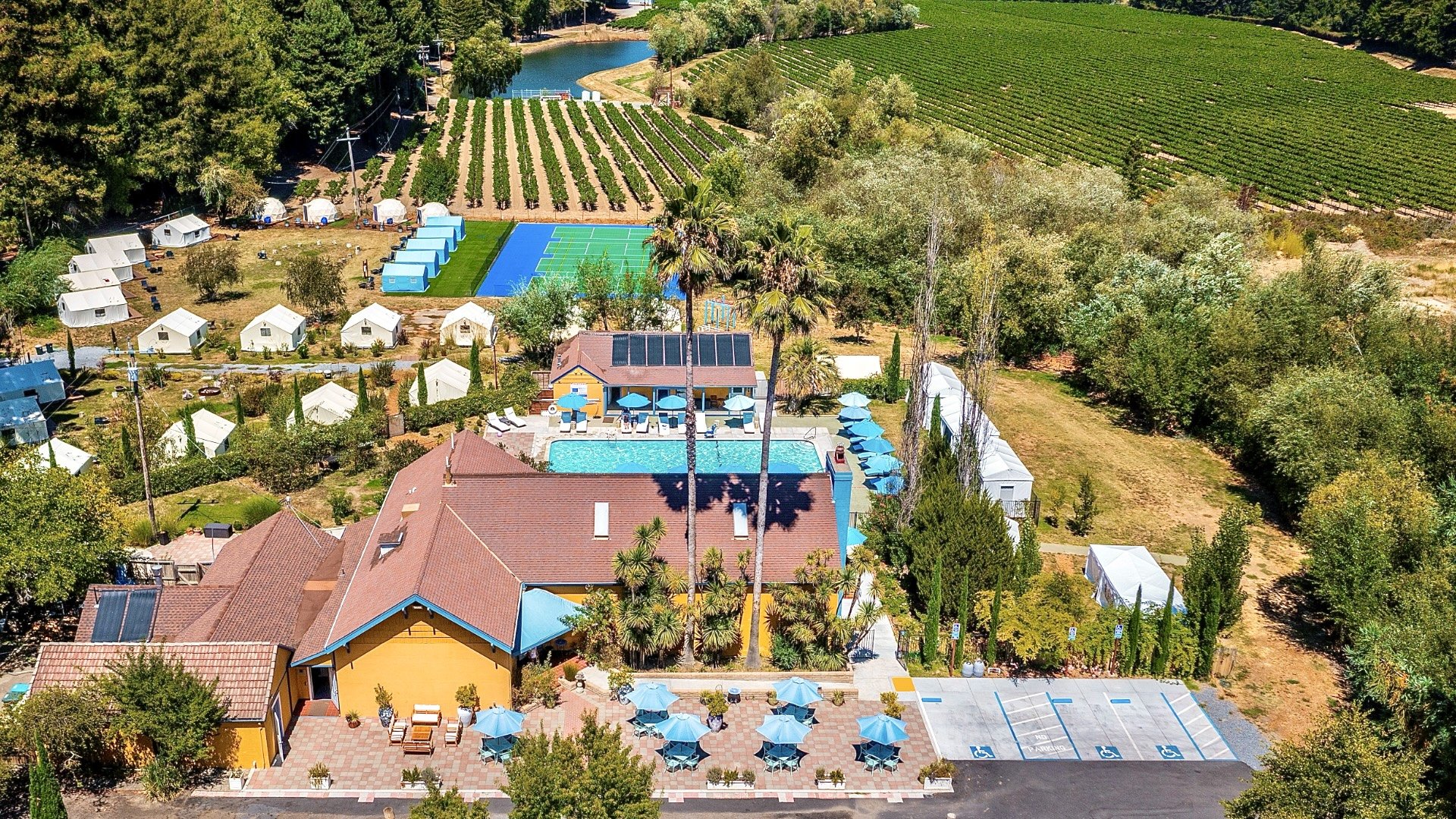 Surrey Drone HORIZONTAL.jpeg