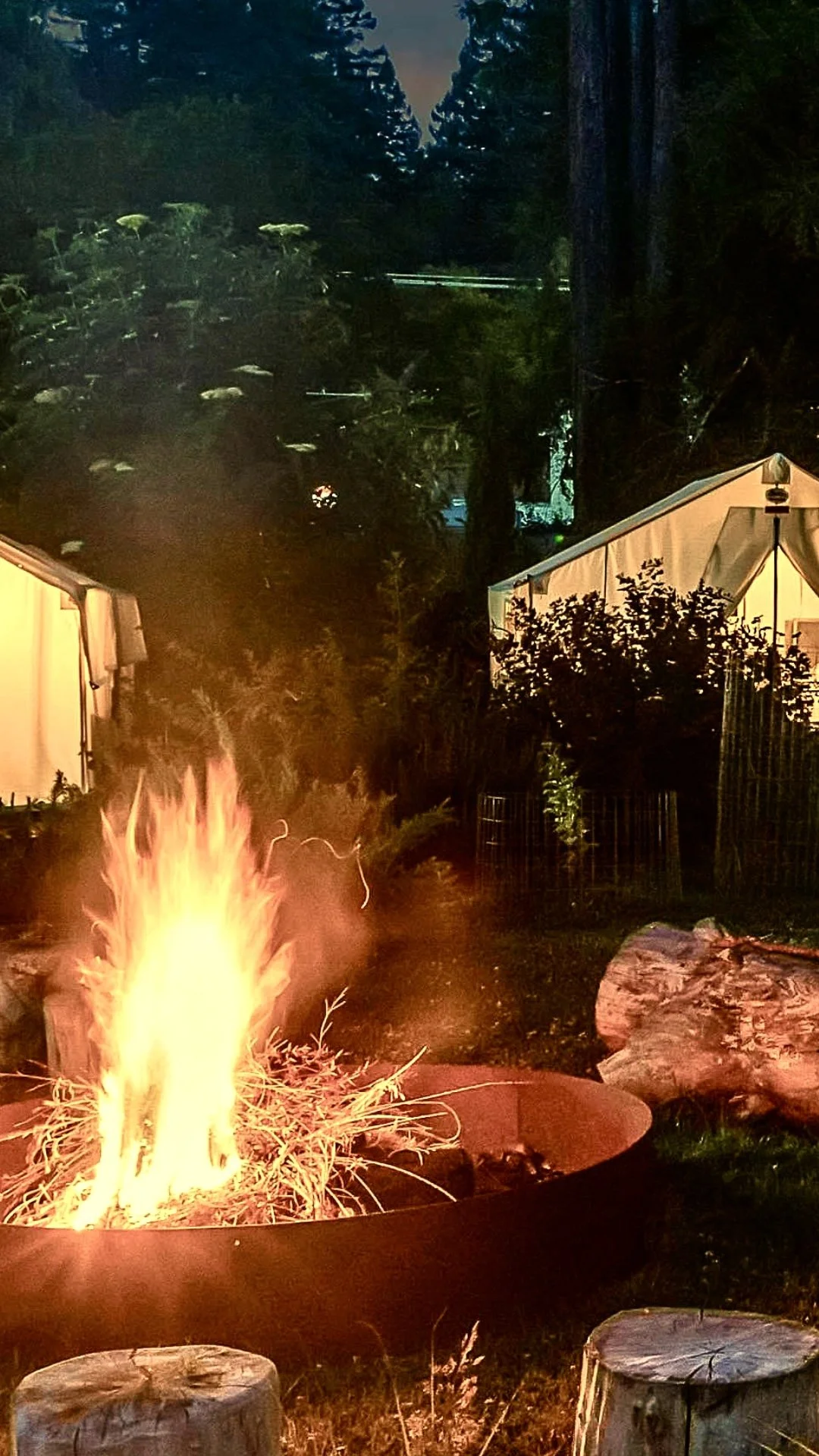 Bon Fire 3 VERTICAL.jpeg