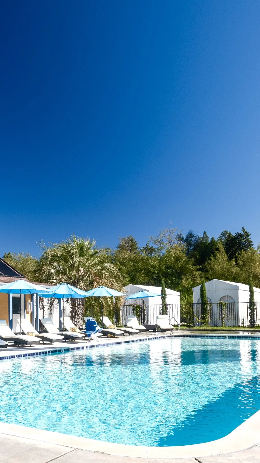 Pool 7 VERTICAL.jpeg