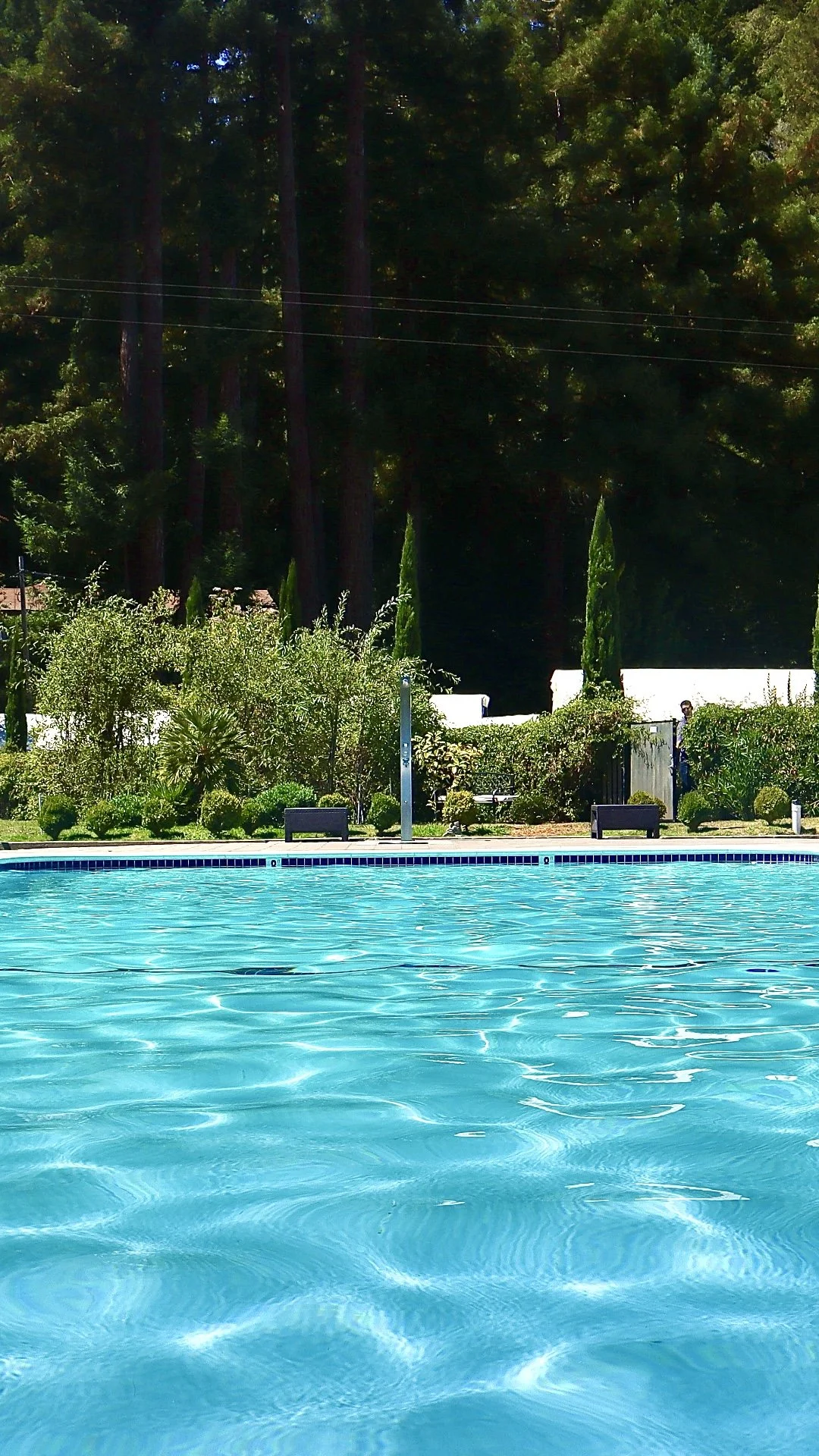 Pool 6 VERTICAL.jpeg