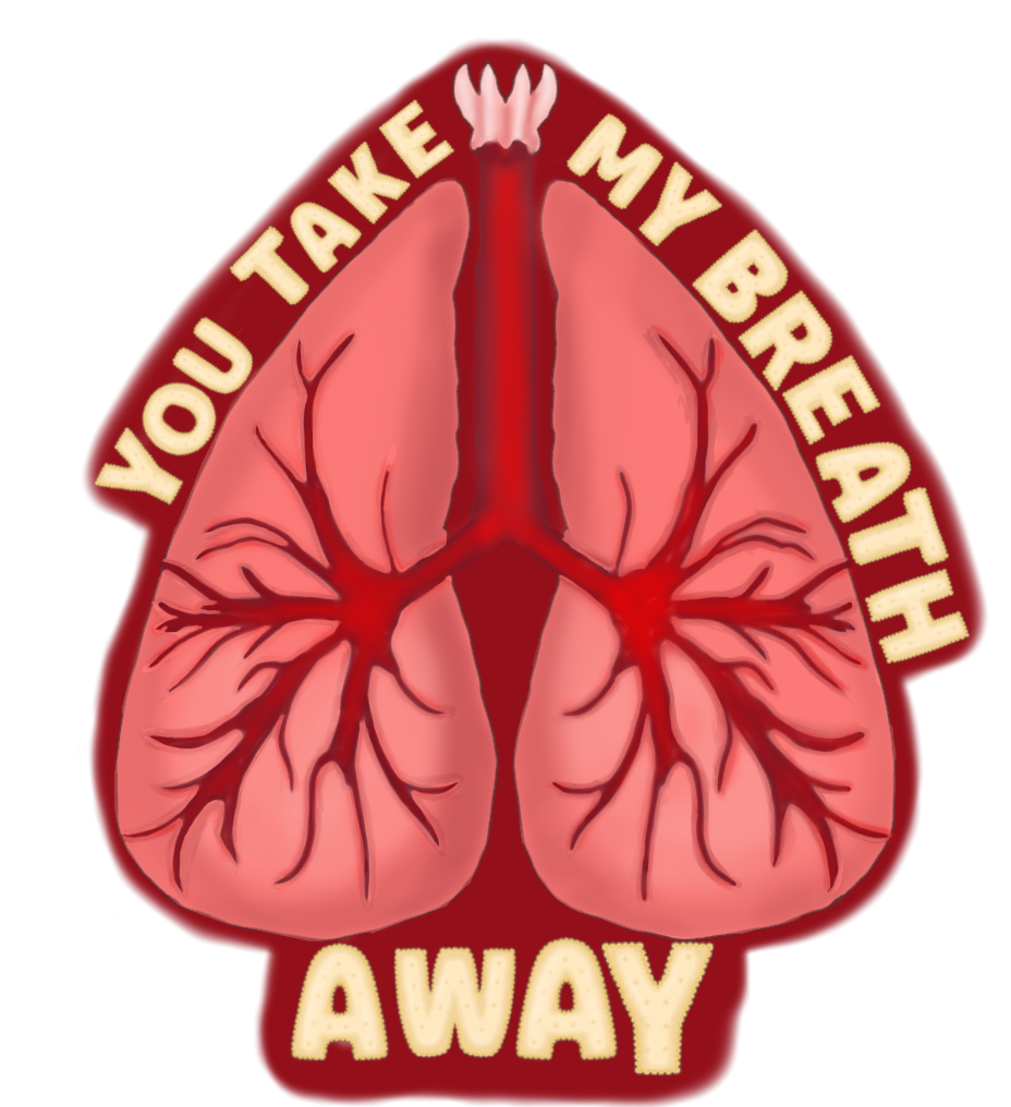 7517543c-e5ba-480e-b99f-b3254a124d75.png