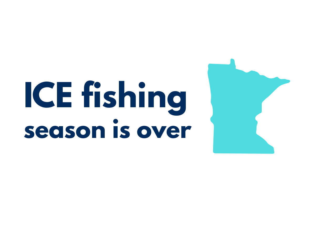 Squarespace graphics.png