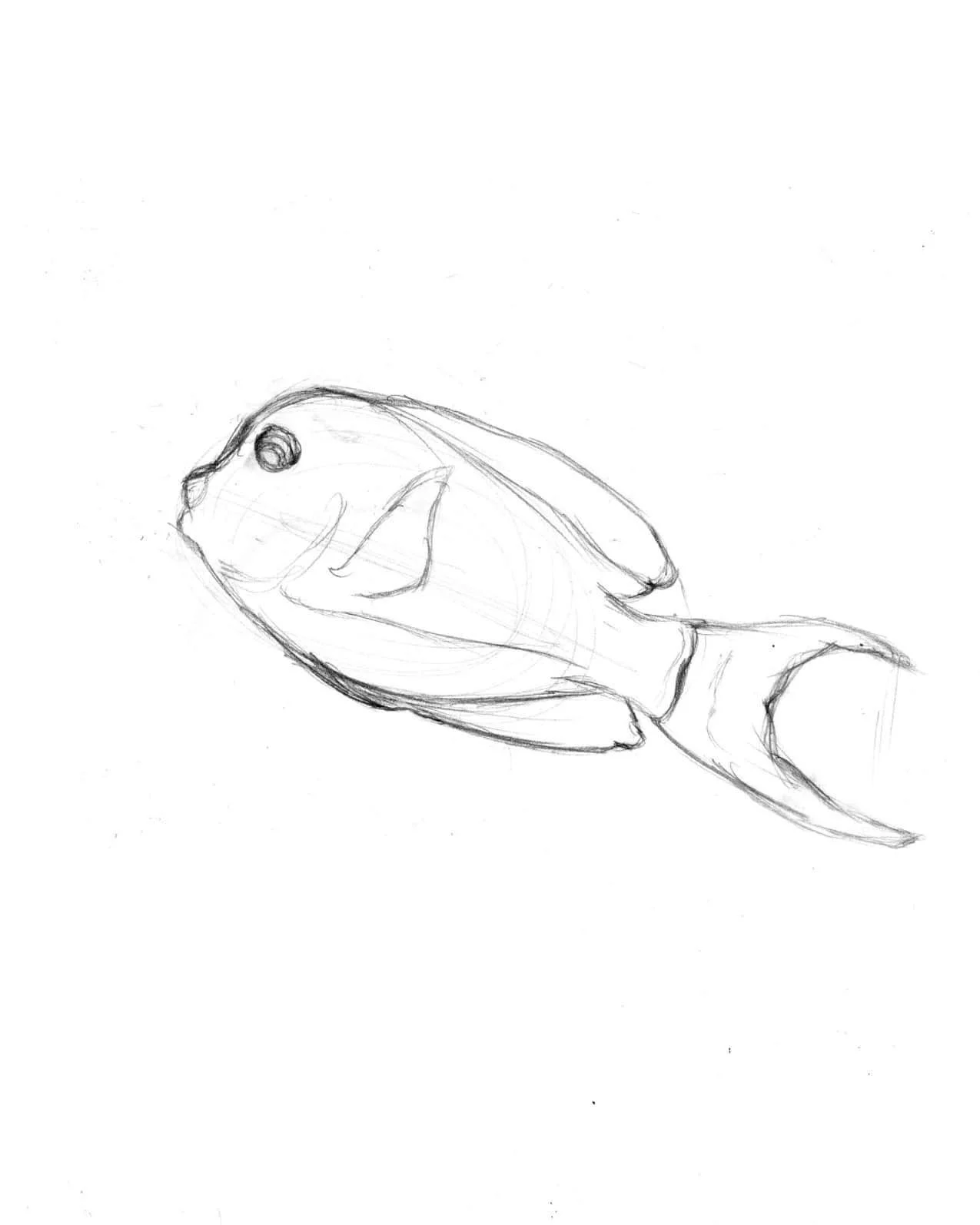 The Aquarium of the Pacific, Long Beach