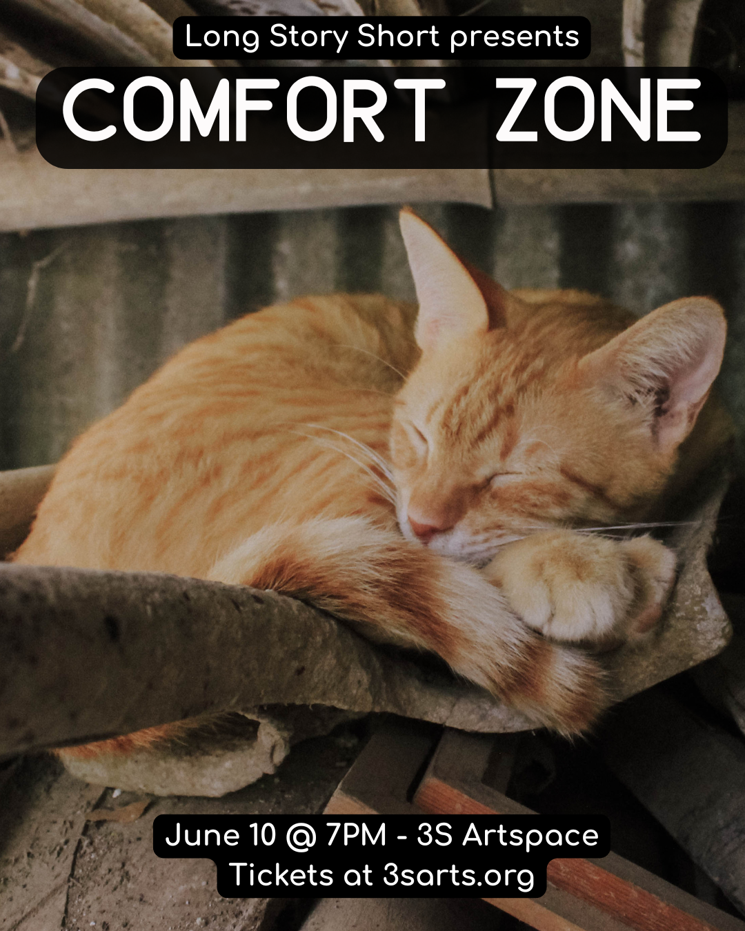 Cat sleeping on a pipe in a basement