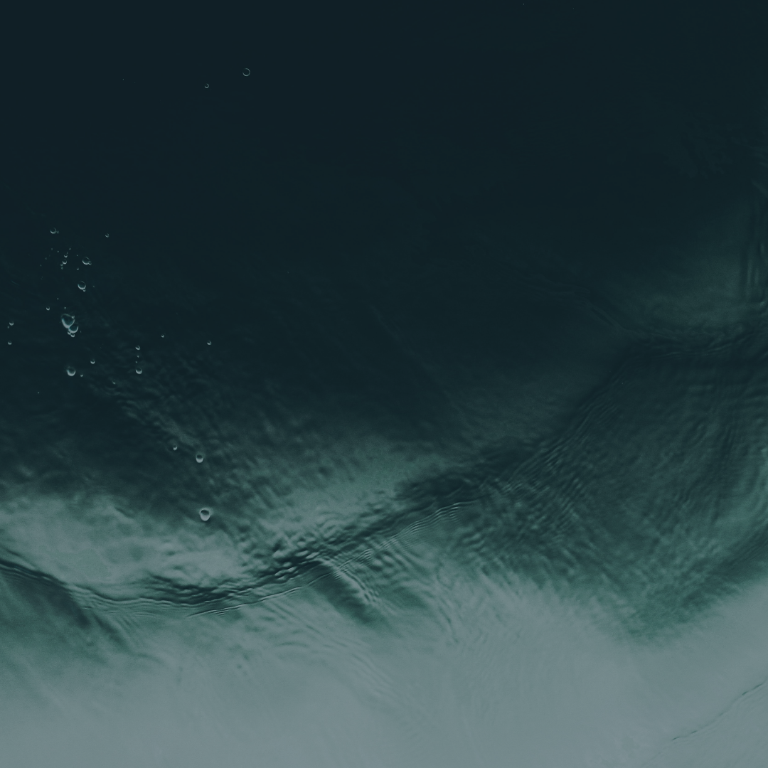 Intuitive Soul Led Astrologer  + Guide