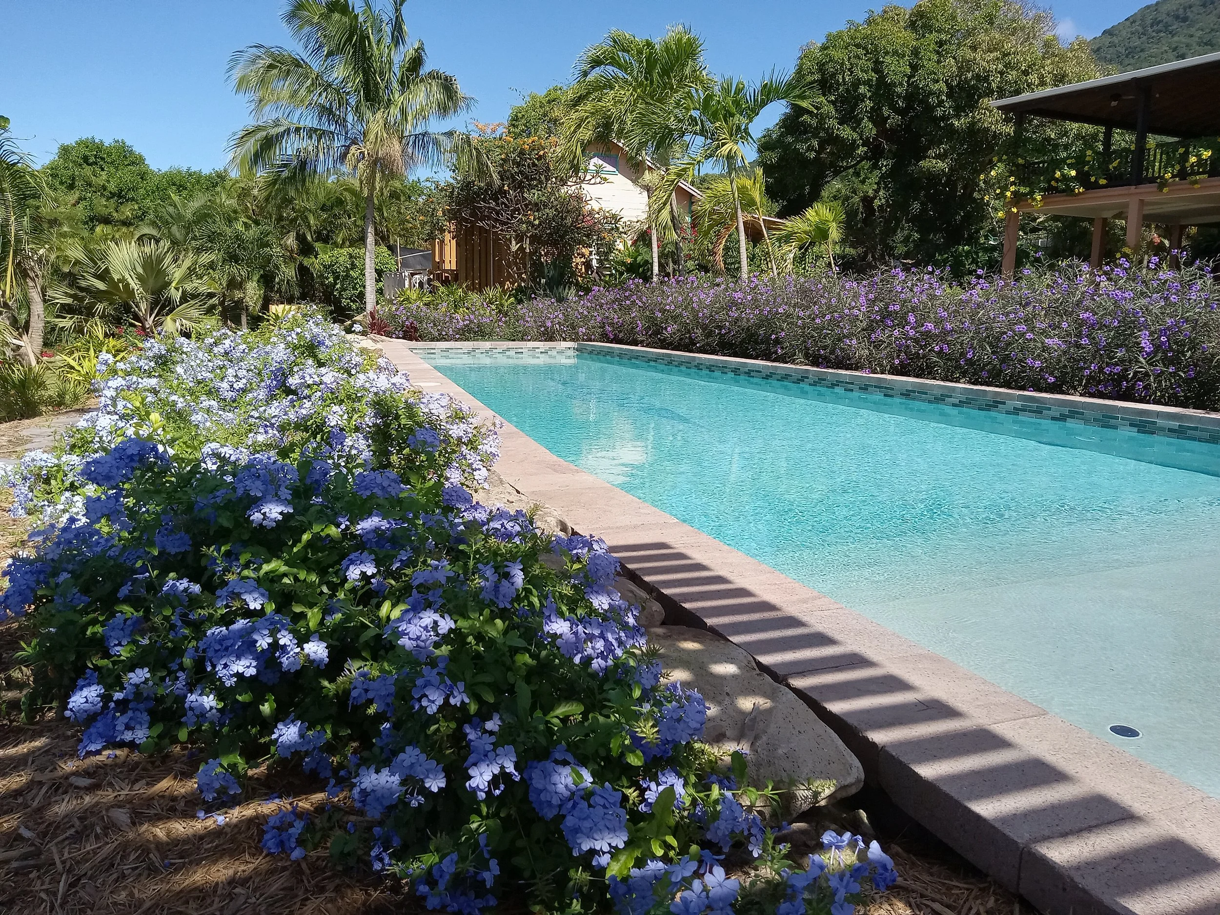 Vanilla Paradise - Private Residence Nevis