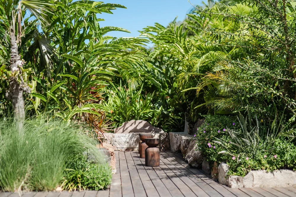 Eden Garden - Paradise Beach Nevis