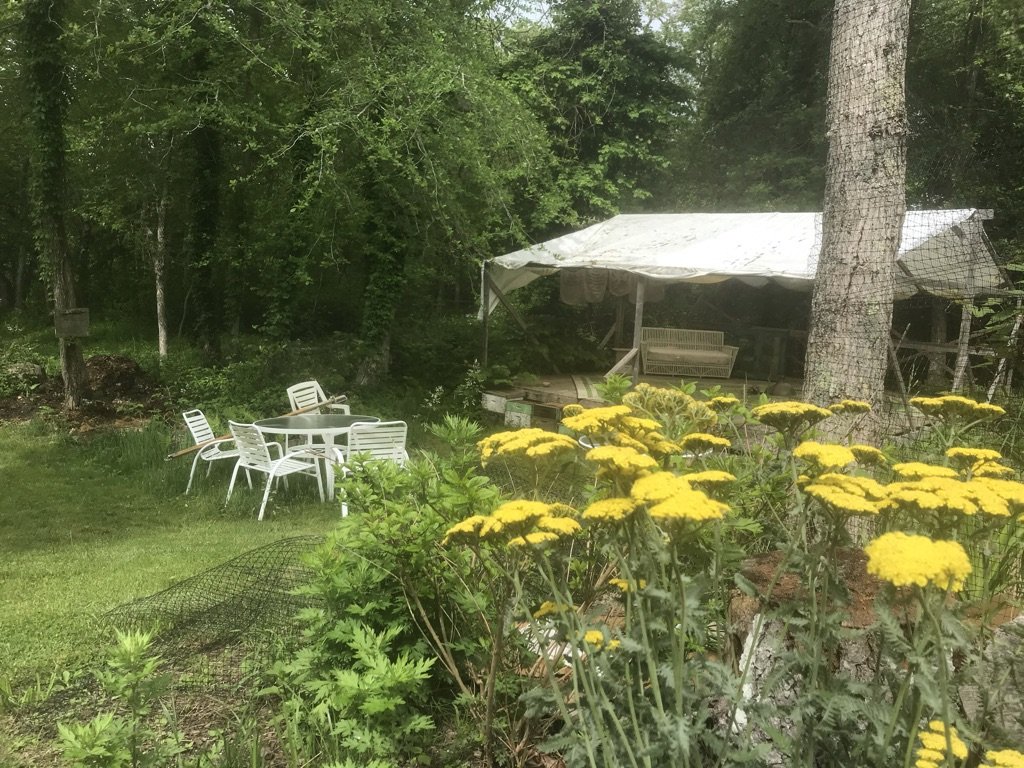 E071E180-ADE7-424A-BEA0-5C24543E9494_1_105_c.jpeg