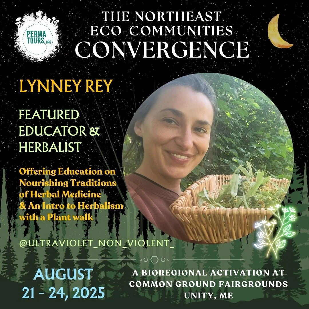 🌿✨ FEATURES ✨🌿

Permatours Northeast Eco-Communities Convergence is just around the corner!

Join us August 21&ndash;24, 2025 at the Common Ground Fairgrounds in Unity, Maine for a bioregional activation &amp; celebration! 🌈🌞🌻

Meet some of the 