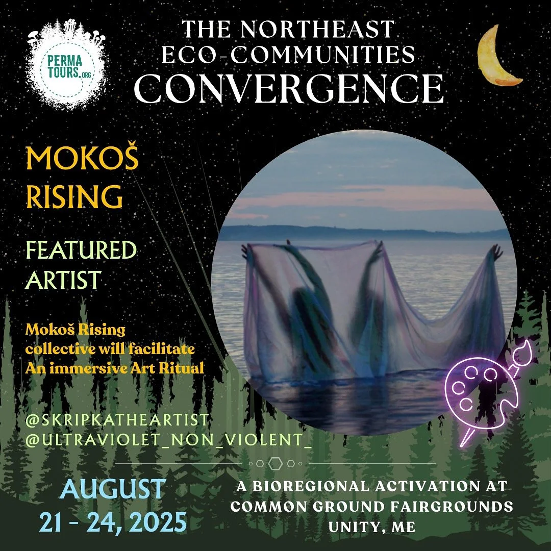 🌿✨ Meet some of the inspiring humans sharing their gifts at Permatours&rsquo; Northeast Eco-Communities Convergence, Aug 21-24 in Unity, ME at @mofga &lsquo;s fairgrounds! ✨🌿

Whether you&rsquo;re drawn to sound healing, art, herbal wisdom, bioregi