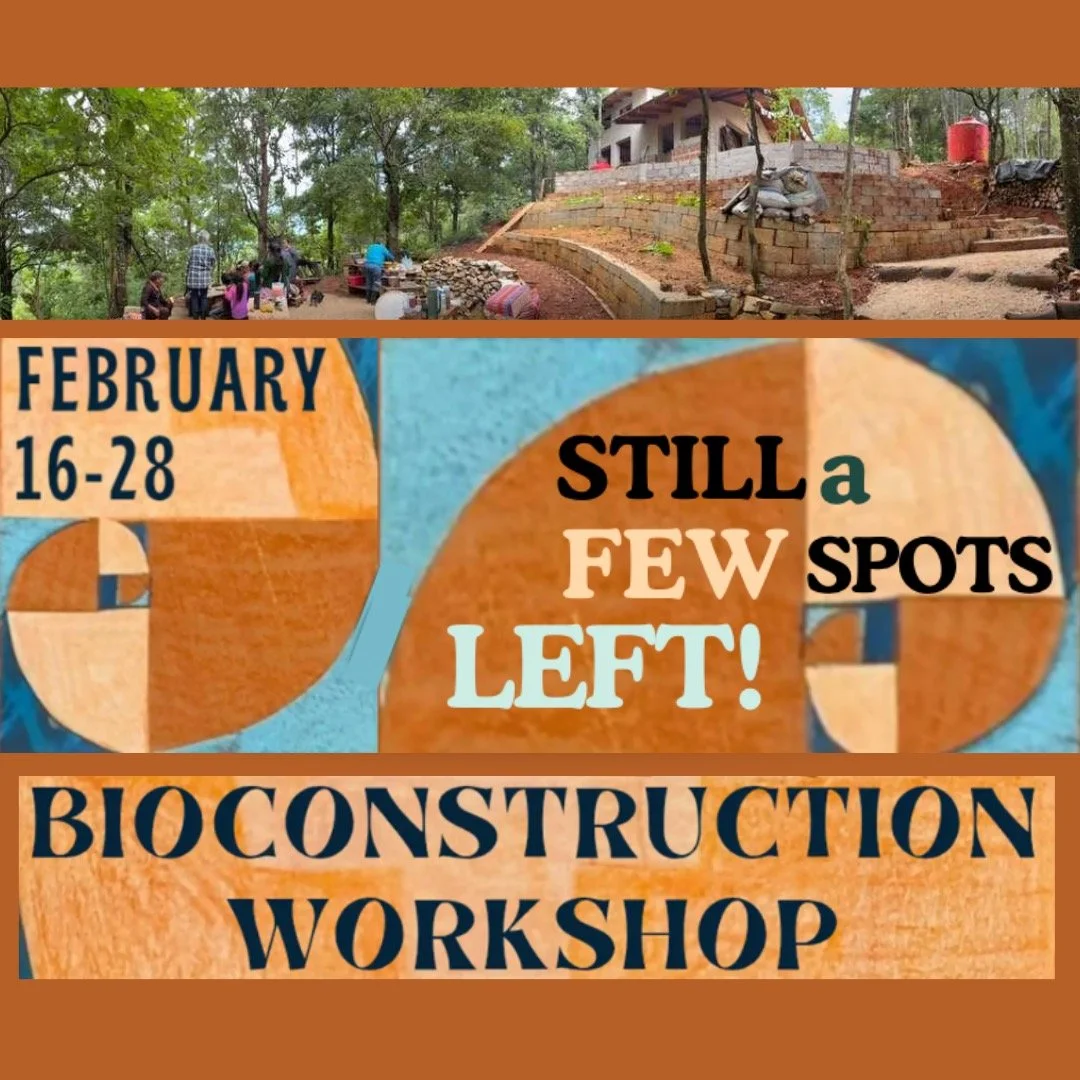 Two weeks in Mexico to build, learn, and connect. This immersion mixes hands‑on building with nature experiences, wellness practices, and creativity&mdash;come be part of it.

Scan the QR code or go to https://events.humanitix.com/bioconstruction-wor