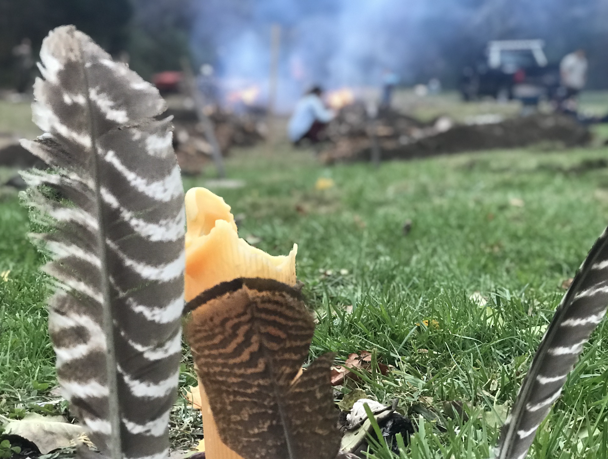 Hands-On Permaculture Projects & Education