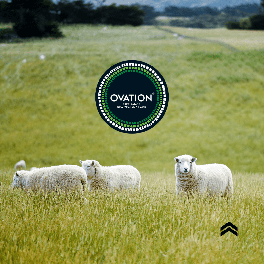 Ovation post.png