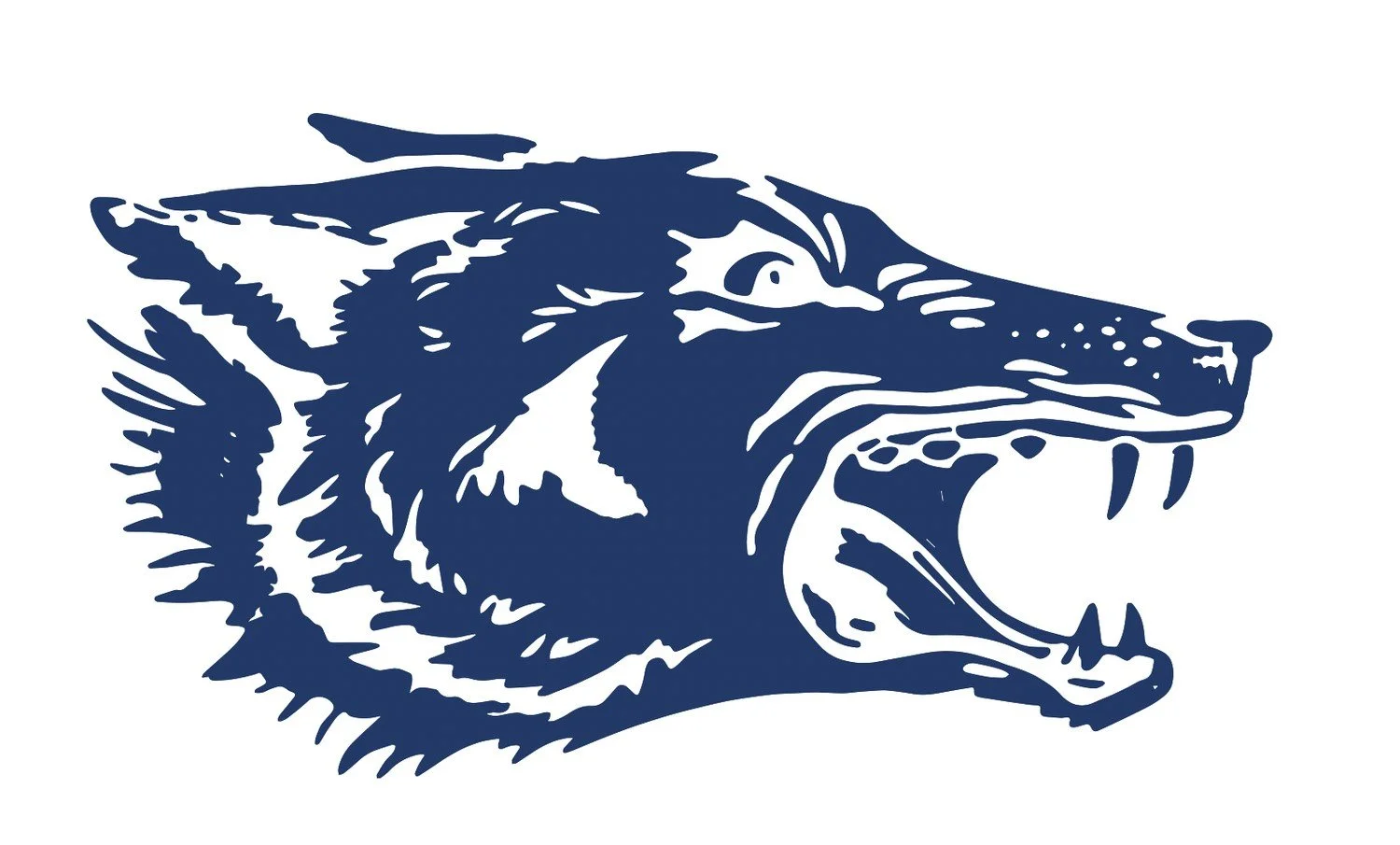 West Morris Football Camp