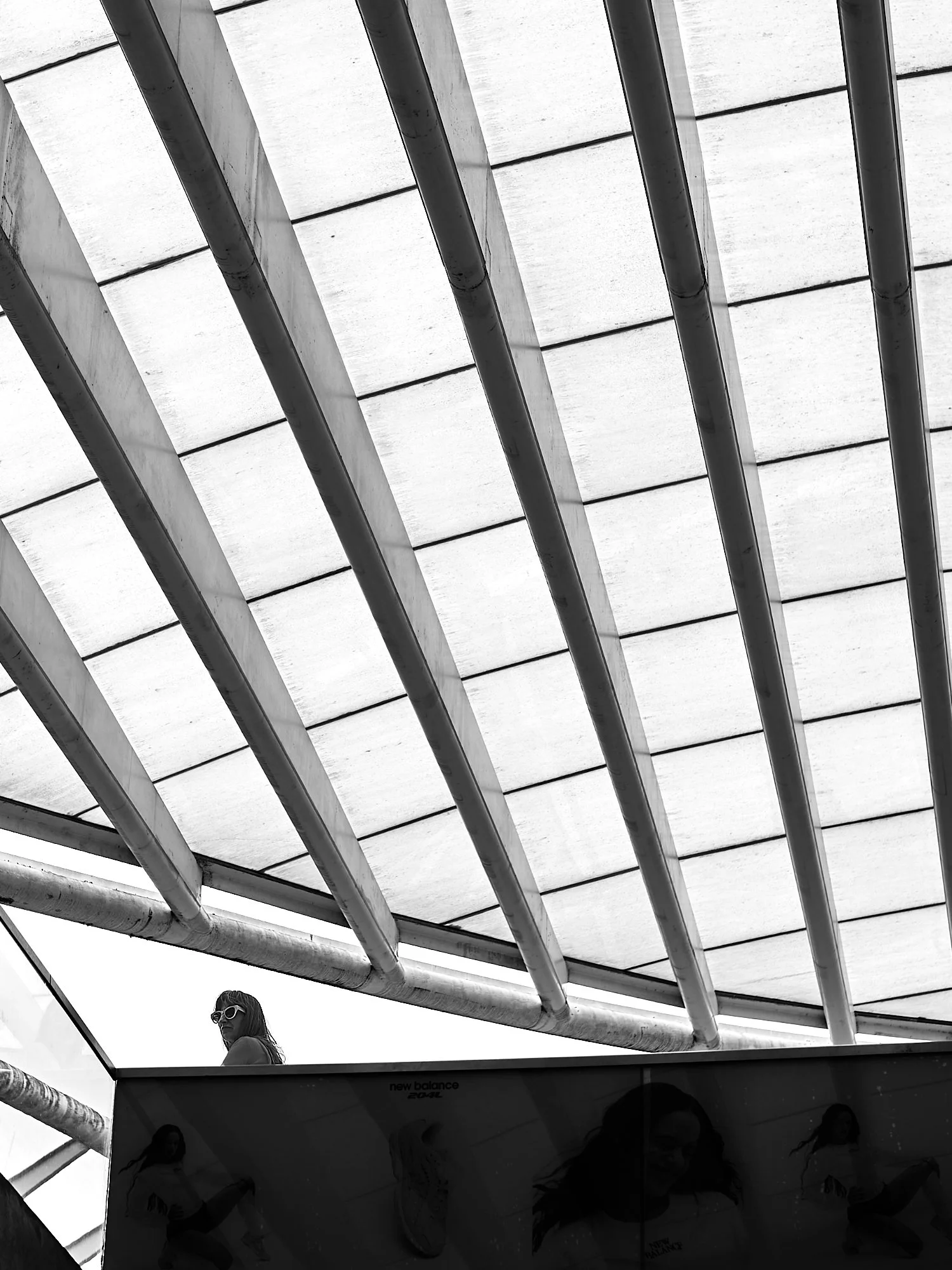 L1002483.jpg