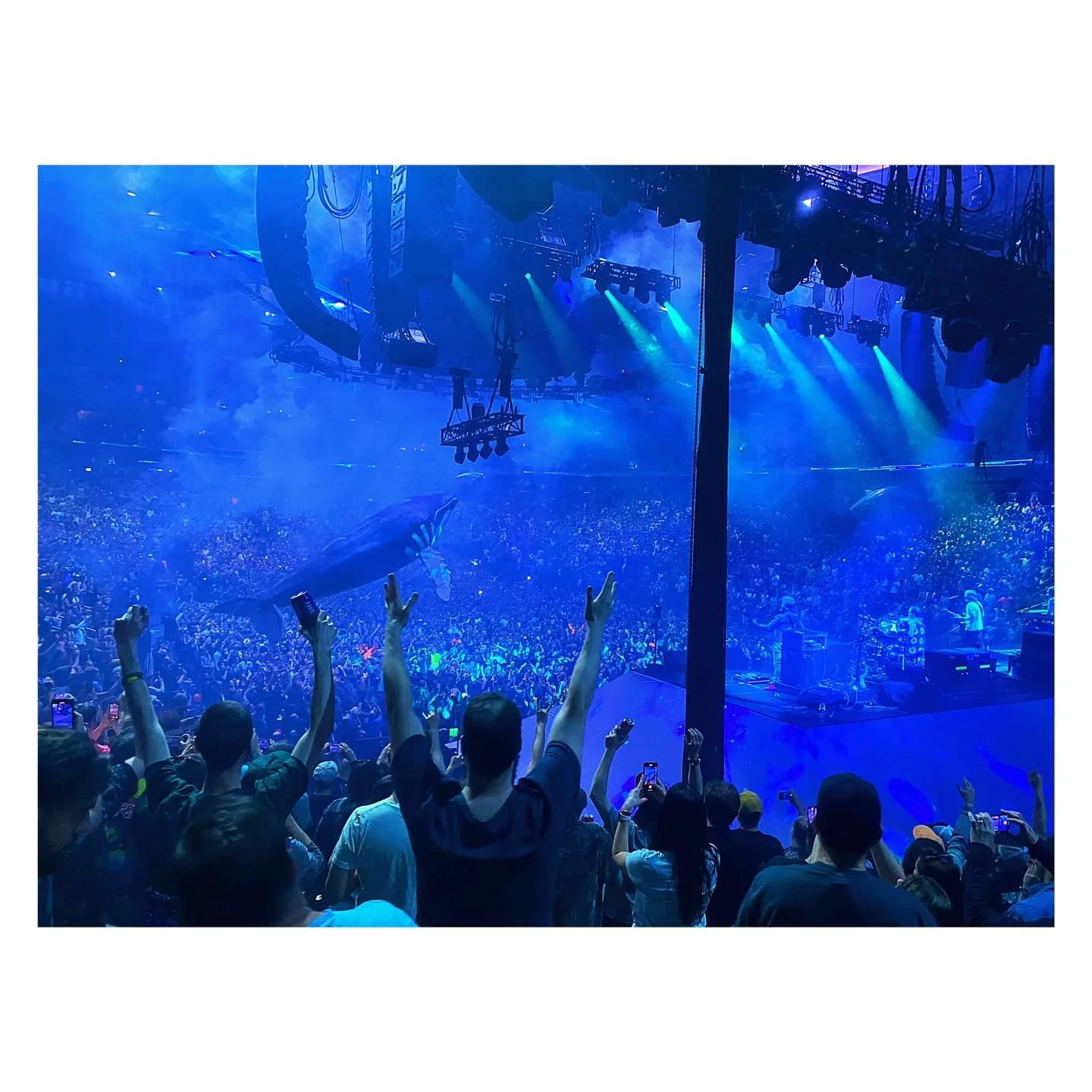 Reflection - what will you remember from this year? 2022 much like every other year has been a long one. With just as many ups as downs, I sit and wonder what I actually want to remember from this year. I want to remember that this is the year my kid