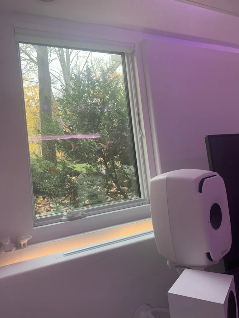 Studio 1's view of the outdoors