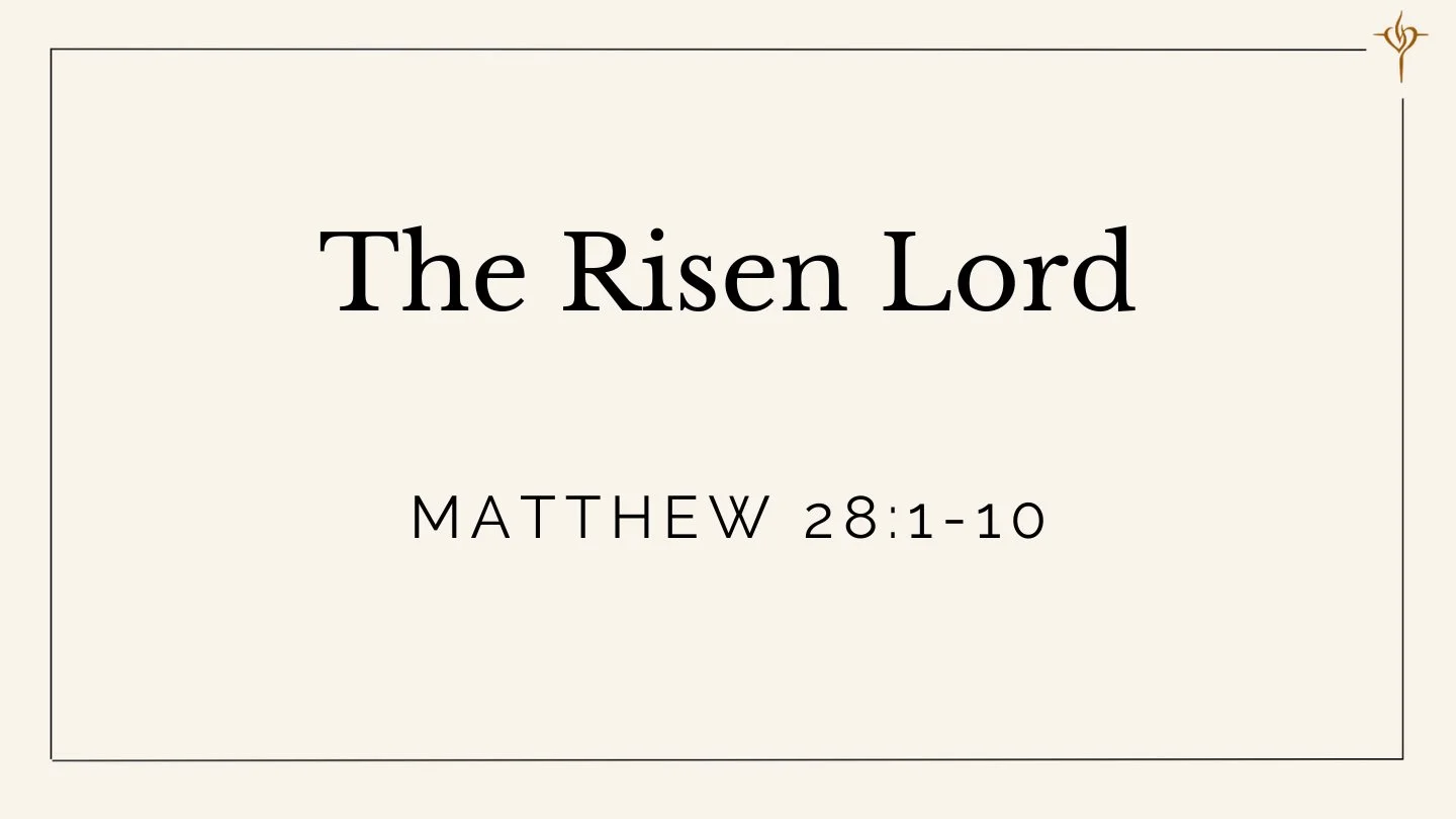 The Risen Lord (Matthew 28:1-10) episode artwork