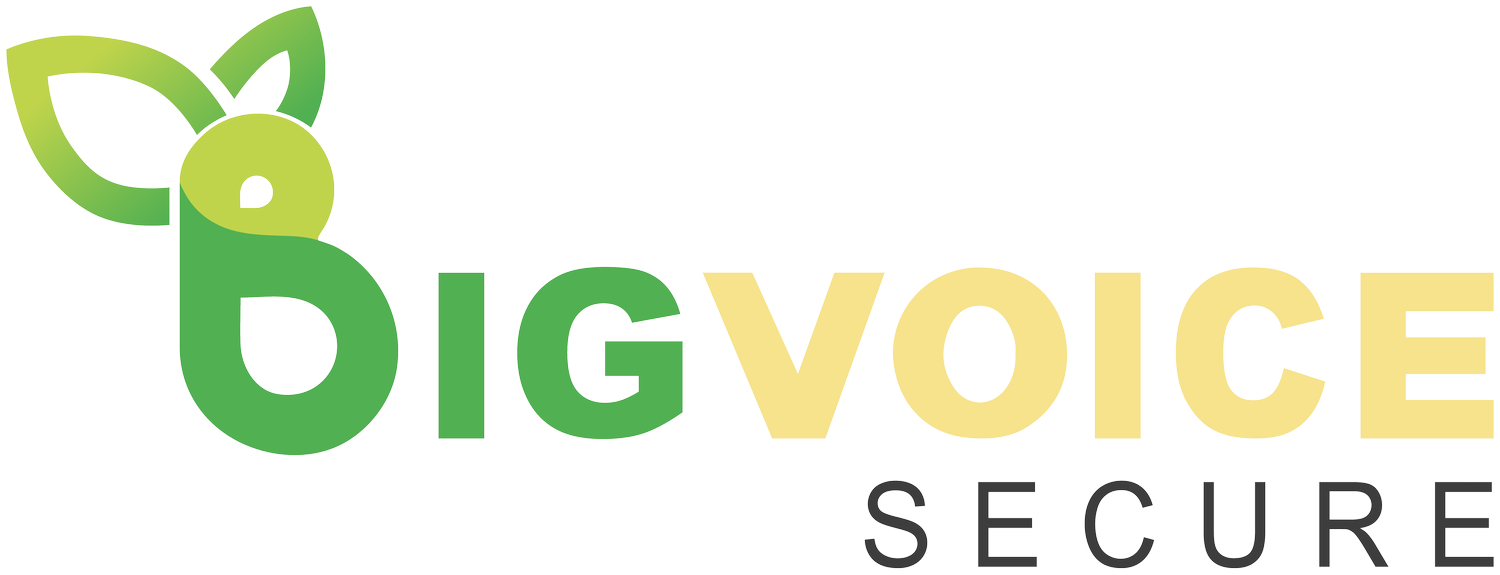 BigVoice Secure