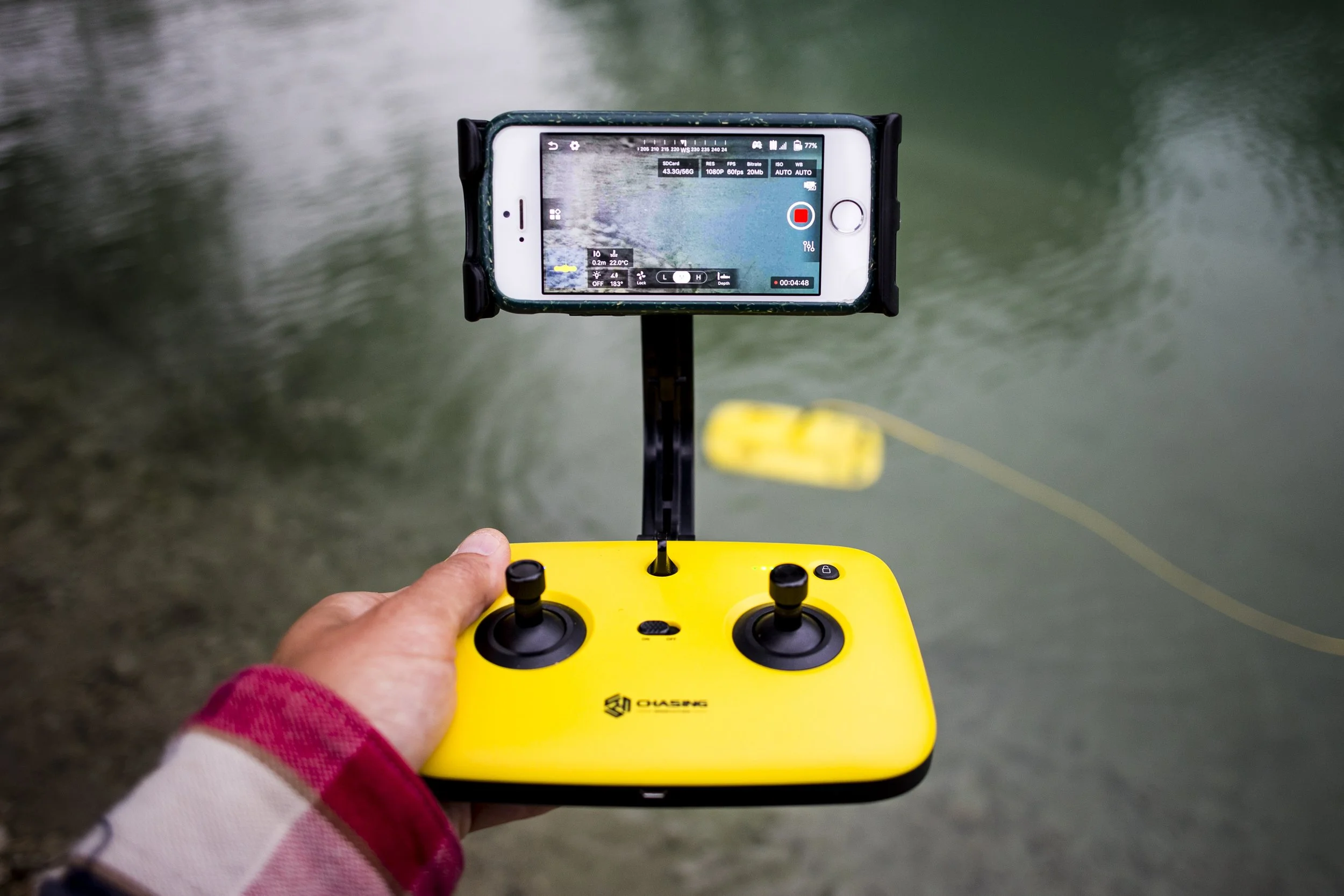 Chasing Dory- Explore underwater realms — EE Group Distributor