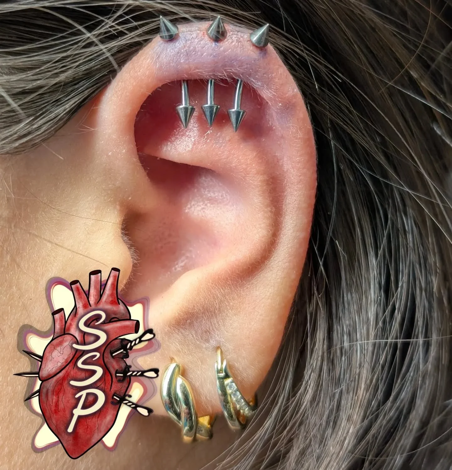 3 vertical helix's with spiked jewelry.

Wish I got more of the blue off lol 

If you're interested in coming in for a piercing. There is no appointment needed, you can just come into the shop while we are open. Any questions about piercings you can 