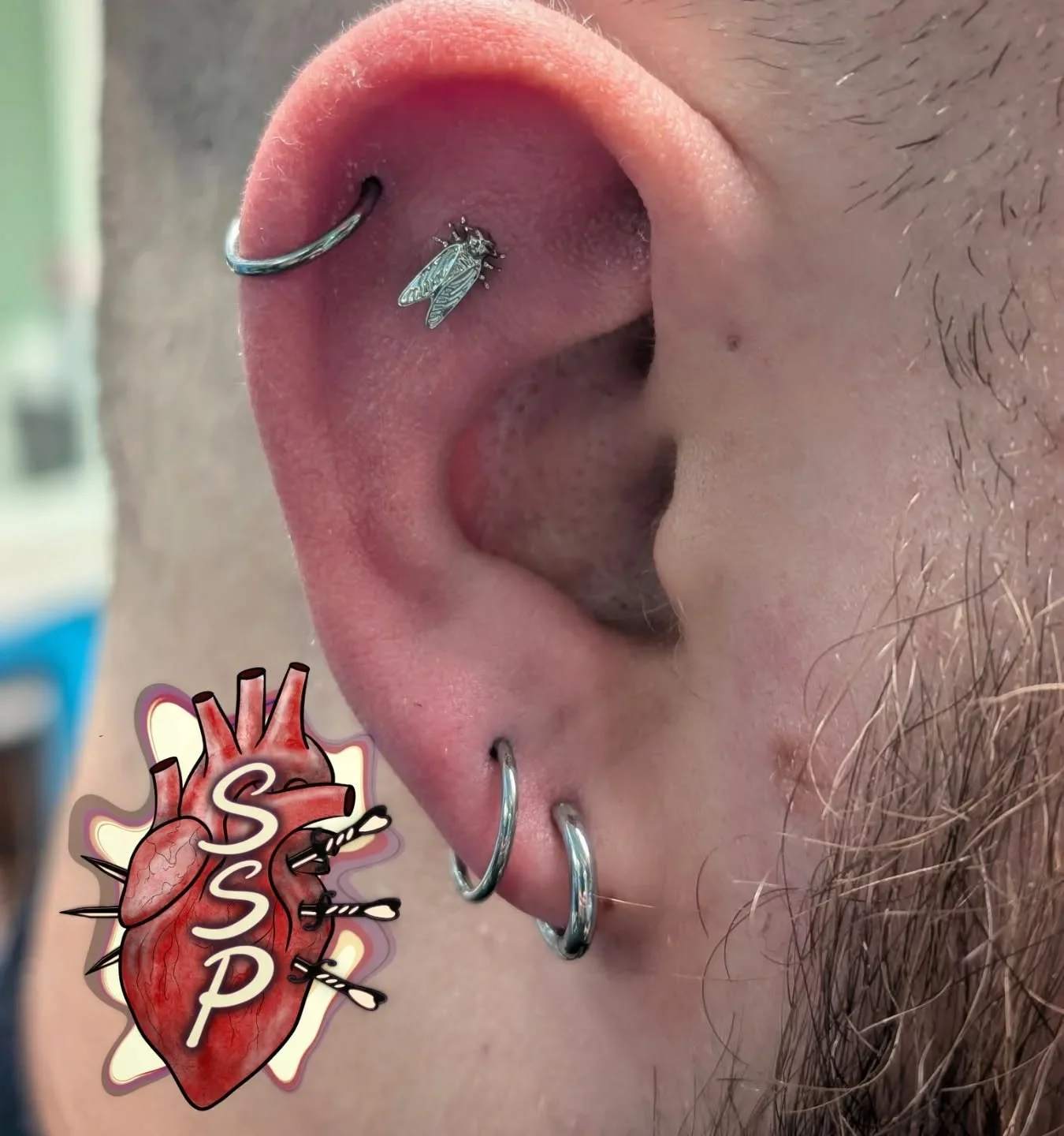 Obsessed with this new pierce of jewelry we got in. Flat piercing  with a titanium cicada. Also added some second holes. Healed helix done last year. 

If you're interested in coming in for a piercing. There is no appointment needed, you can just com