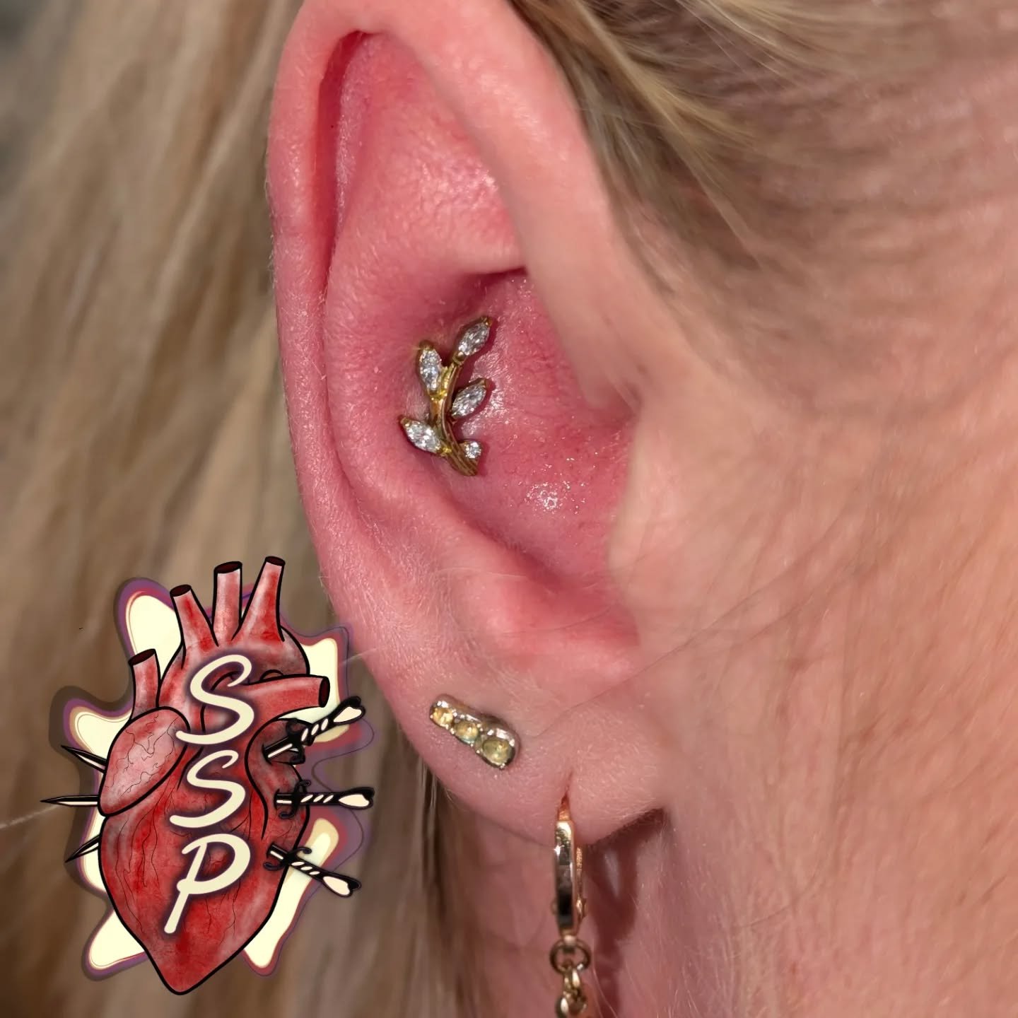 Fresh new conch piercing with one of my favorite pieces in the shop anodized gold

If you're interested in coming in for a piercing. There is no appointment needed, you can just come into the shop while we are open. Any questions about piercings you 