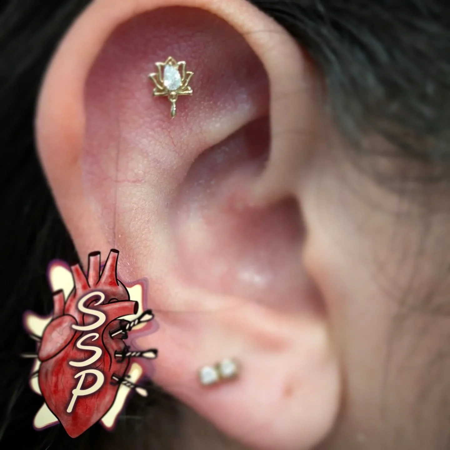 A beautiful gold pierce in this new flat piercing. ❣️

If you're interested in coming in for a piercing. There is no appointment needed, you can just come into the shop while we are open. Any questions about piercings you can always give the shop a c