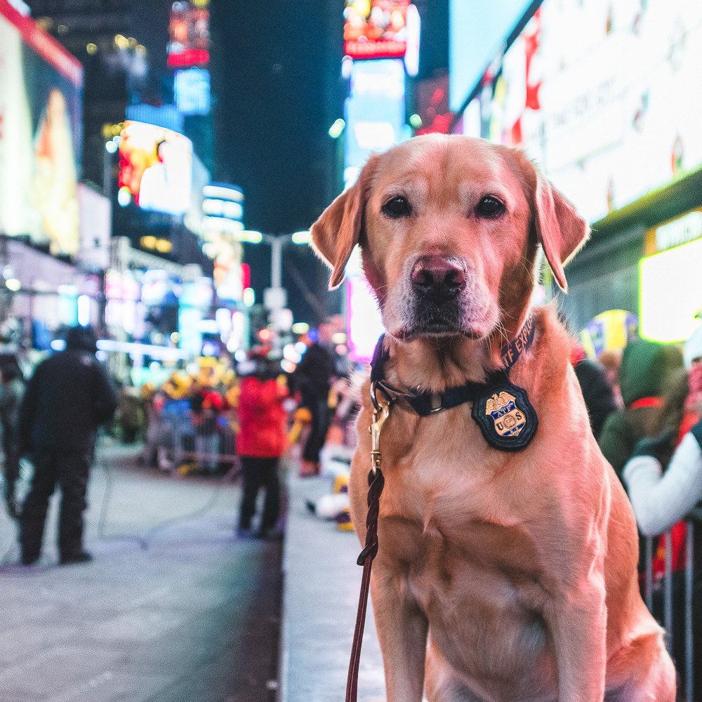  NYE 2018 In Times Square, NYC 