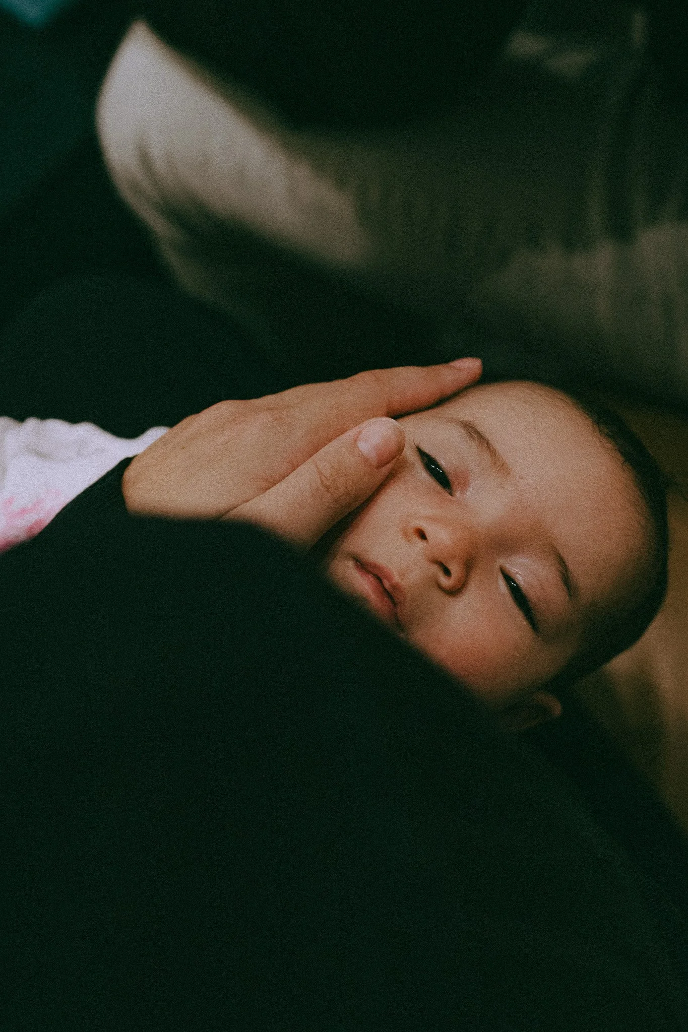 Angel Phoenix: content creation, brand photography, business and visibility coaching offered on the Sunshine Coast. Based in Eumundi but servicing Cooroy, Coolum Beach, Noosa Heads, Caloundra, Maroochydore, Yandina and surrounds.