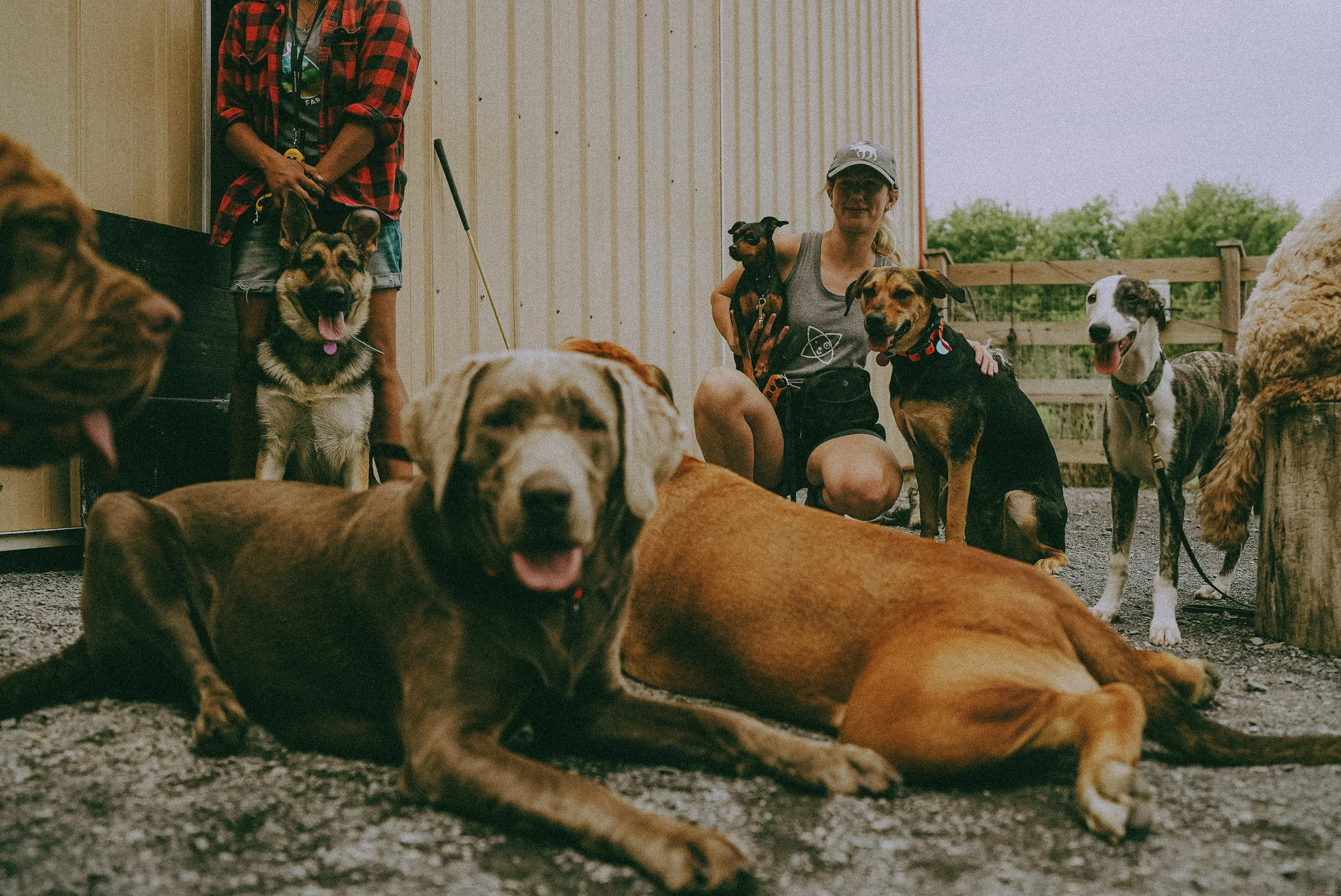 Angel Phoenix: content creation, brand photography, business and visibility coaching offered on the Sunshine Coast. Based in Eumundi but servicing Cooroy, Coolum Beach, Noosa Heads, Caloundra, Maroochydore, Yandina and surrounds.